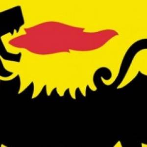 eni-gas-luce-free