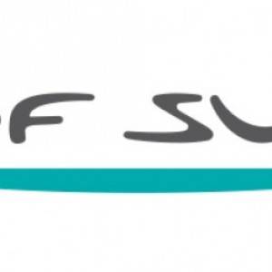 gdf-suez-gas-luce-energia-3-0-2