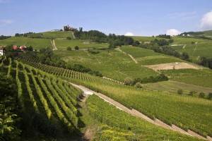 Finanziamenti a Start Up Agricole 2