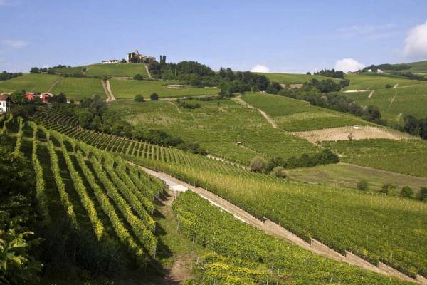 Finanziamenti a Start Up Agricole