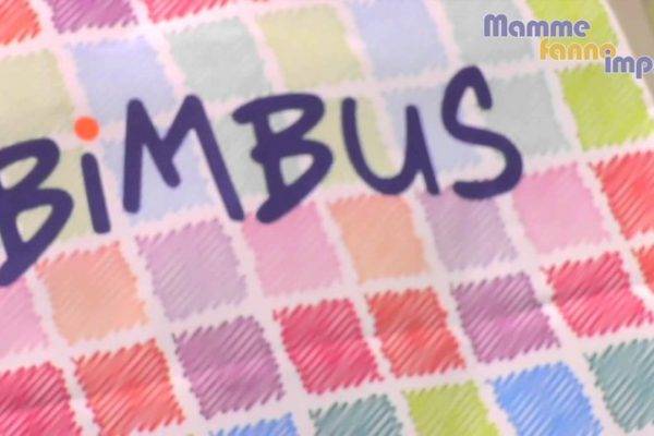 Aprire Franchising Bimbus