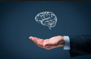Creare una Start up, Vediamo Cosa Fare