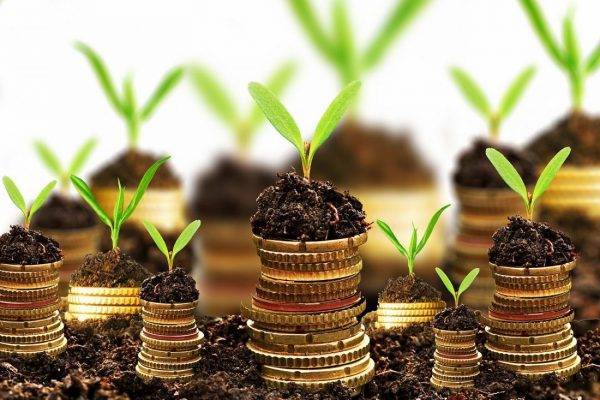 Titoli bancari: vale la pena investire oggi?