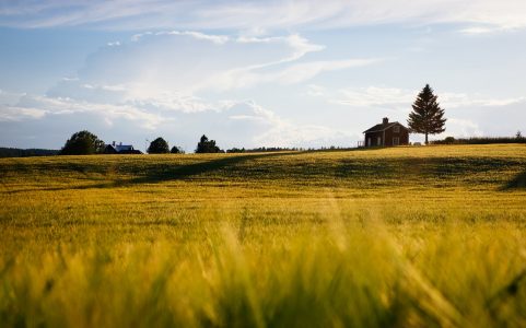Come ipotecare un terreno