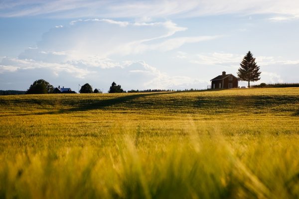 Come ipotecare un terreno