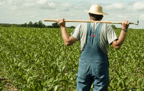 Disoccupazione agricola 2018 quando arriva 1