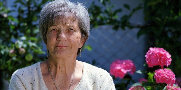 legge pensioni quota 41