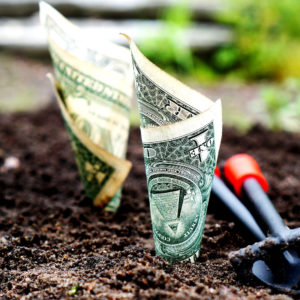 Come funziona il domain trading?