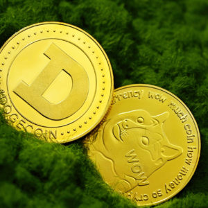 Shiba Inu Coin: La storia dietro la criptovaluta virale